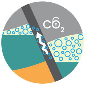 Conduits for migration